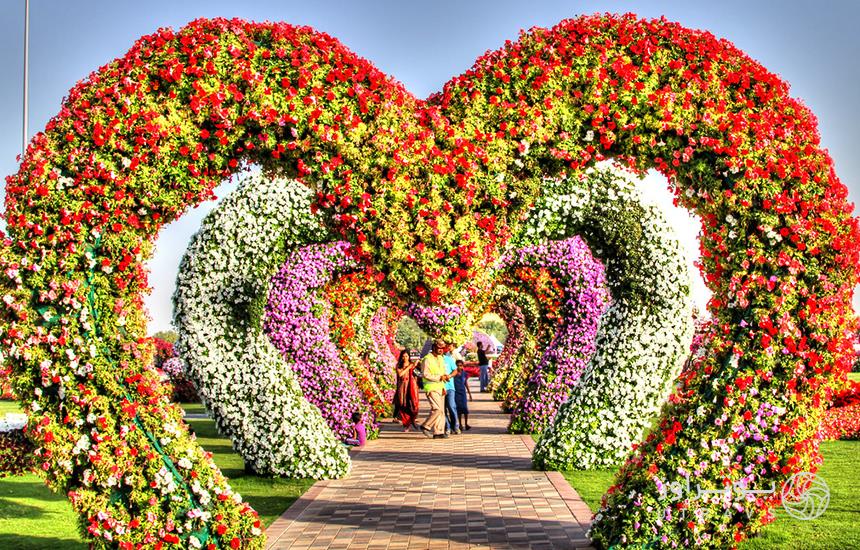 crossing of Hearts in Dubai Miracle Garden